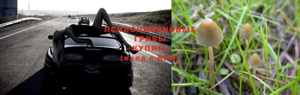 гидропоника Балабаново